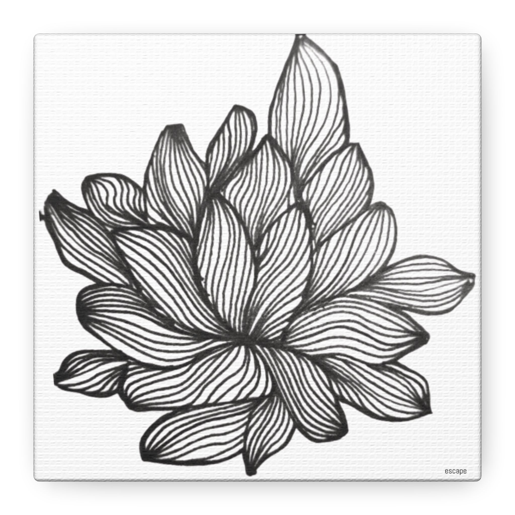 Black and white line drawing of a flower on a white background