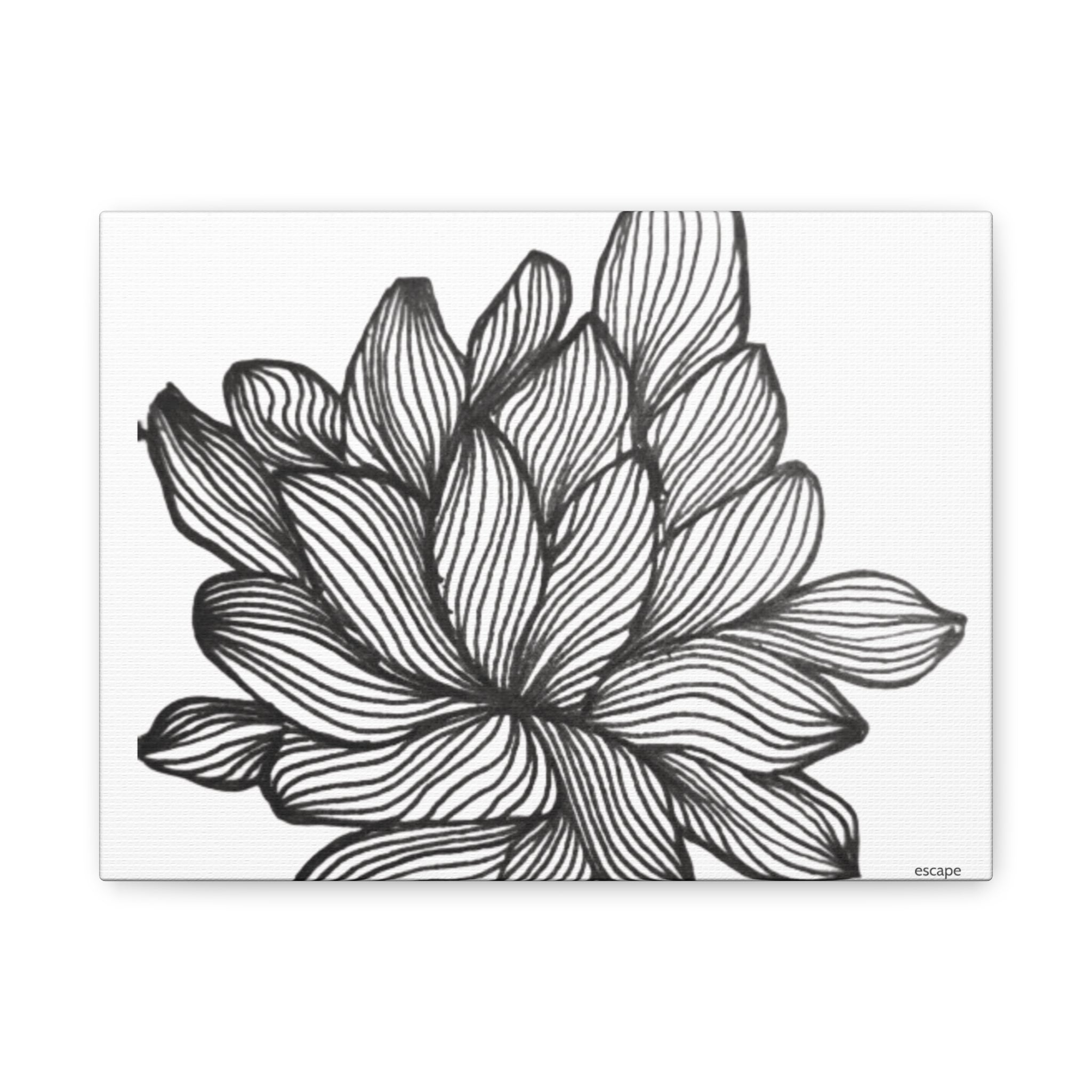 Black line drawing of a flower on a white background